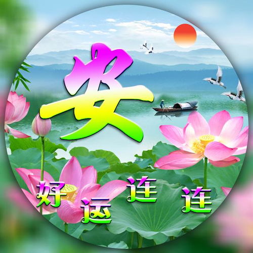 30张莲花荷叶微信头像,你要的姓氏都在