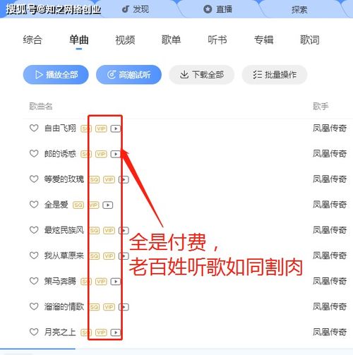 抖音快手音乐号项目利用批量工具一天做50个视频,及如何变现