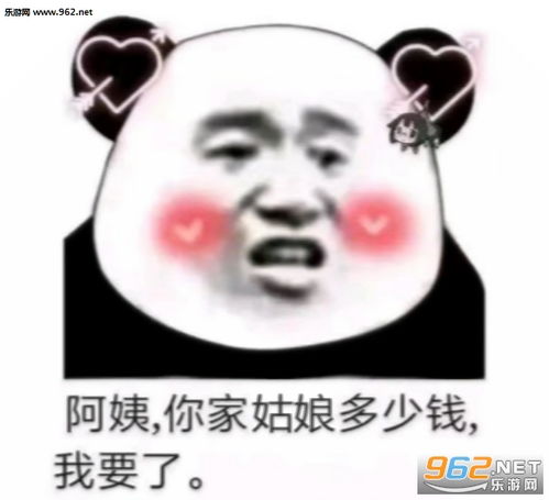 阿姨你家女儿多少钱啊图片阿姨你家女儿多少钱表情包下载乐游网游戏下载