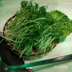 四季椰林椰子鸡华强北九方店的嫩豆苗好不好吃用户评价口味怎么样深圳美食嫩豆苗实拍图片大众点评