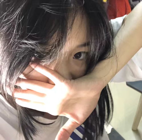 无标题