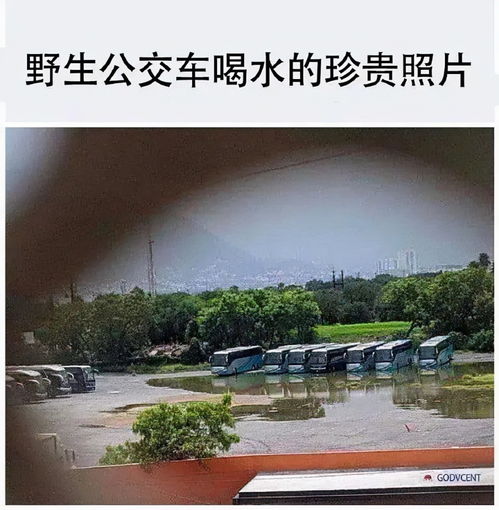 每日一笑唐僧动没动心白龙马一定知道,我发朋友圈去了