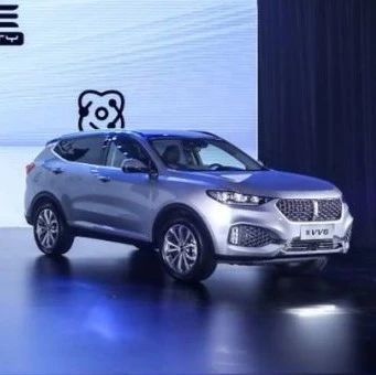 2020款weyvv6一只从不打盹儿的牧羊犬