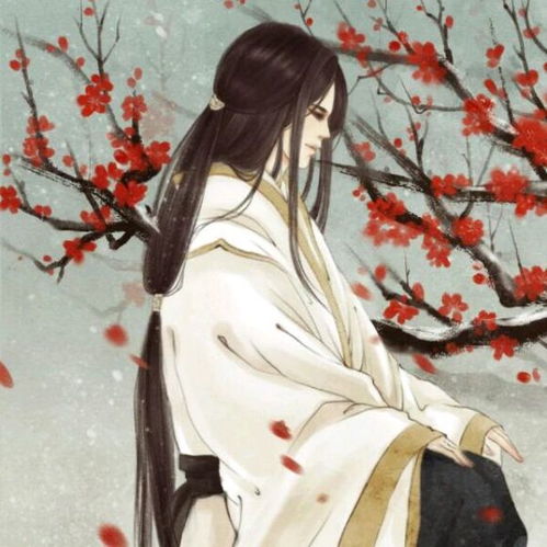 傲骨招风
