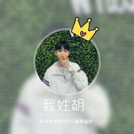 男生姓氏头像,圆形边框加上皇冠加上我姓什么