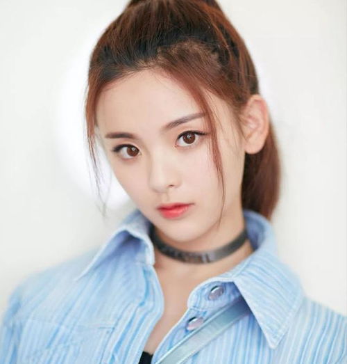 央视春晚进入倒计时,流量明星挑大梁是否是今后的大势所趋