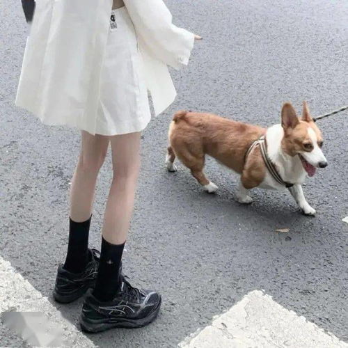 头像图片丨女生头像丨ins女生头像丨动漫头像1218
