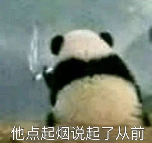 抖音网红滤镜前vs滤镜后,哎呦我去去去救命