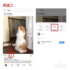 怎么下载保存ins上的图片视频和快拍