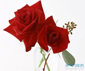 情人节送什么礼物好情人节最好的礼物