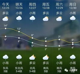 青海路樱花大道有调整,快来看一下