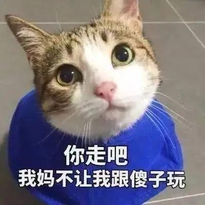 遮脸头套换装装瘸还不是一样被逮了