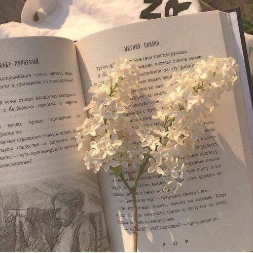 微丧治愈背景图喜欢发呆的人,心里一定有另一个纯净的世界