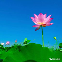 原来随和,是一种能力