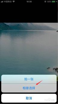 抖音头像怎么变成透明海鲜粥