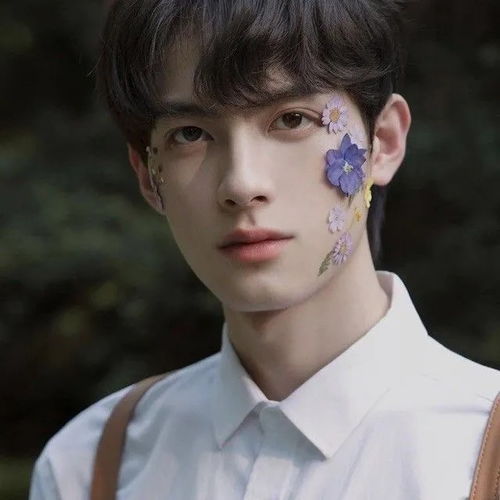 男头干净而温柔的少年,阳光正好打你脸上