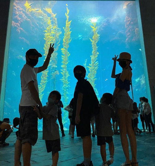 林志颖晒水族馆游玩照,一家五口好幸福,kimi身高吸引大家眼球