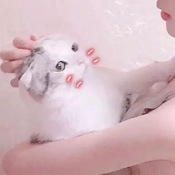 更加齁甜的521情侣头像