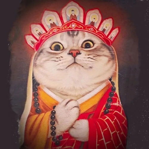 头像陪伴是最漫长的告白