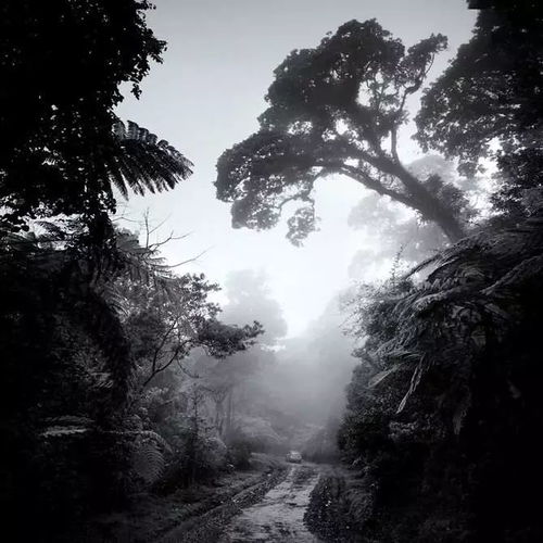 世界上最美的风景图片大全