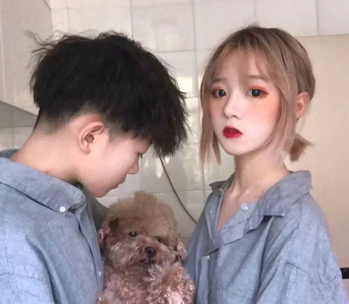 无标题