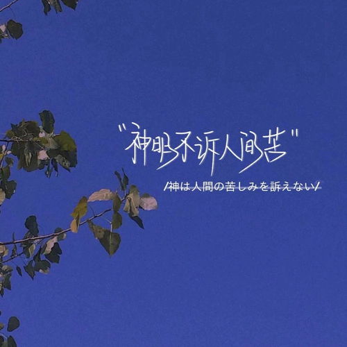 简短明确无风格高质量文案