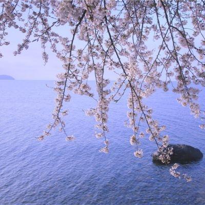 从新的网名