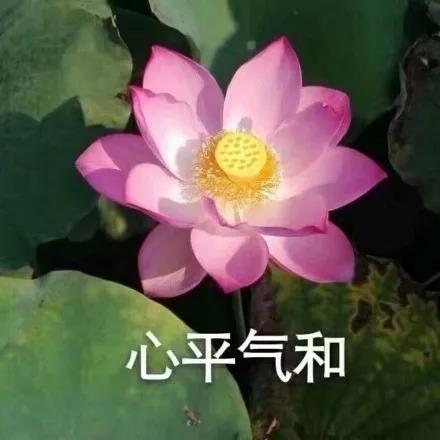 有那些快手沙雕评论