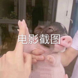 热台词的主页快手直播