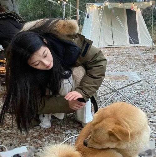 头像ins微信头像来存呀