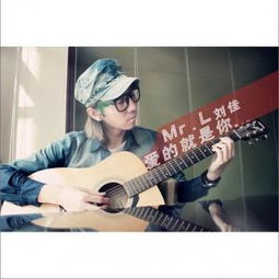 爱的就是你刘佳演唱歌曲搜狗百科