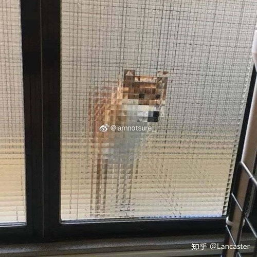 ins风闺蜜头像一对动漫情侣头像