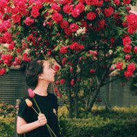 女孩躺在花上唯美图片大全微信头像图片大全