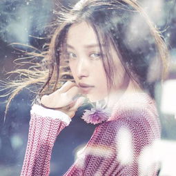 都说倪妮刘雯杜鹃高级脸,实力分析到底高级在哪里