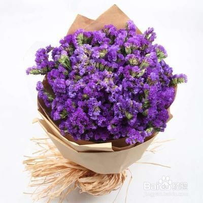 勿忘我怎么养殖最好