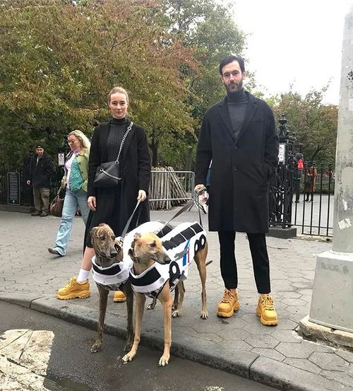 秀恩爱的最高境界衣品cp上线惹得人又羡慕又想嗑