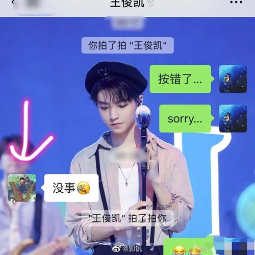 郭锐晒和王俊凯的微信聊天记录,小凯头像有意思