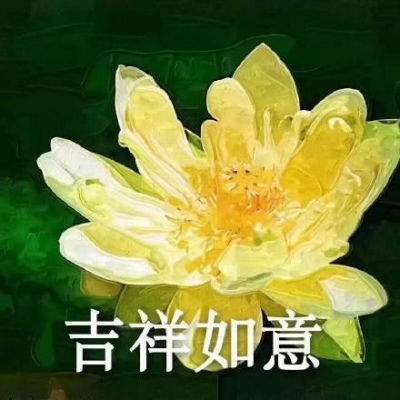 江淮佛系荷花微信头像岁月静好