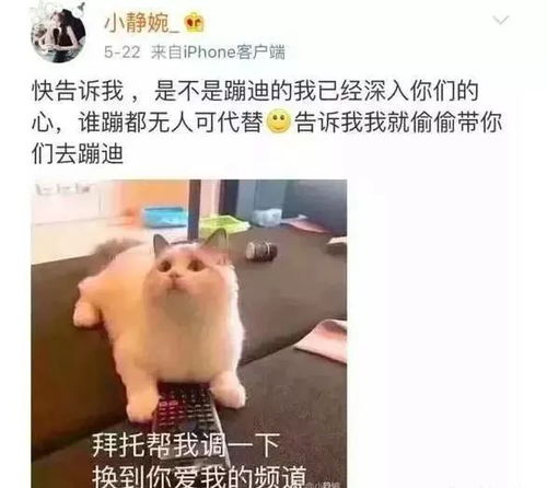 抖音温婉一夜爆红又遭封杀,17岁成名背后都经历了什么