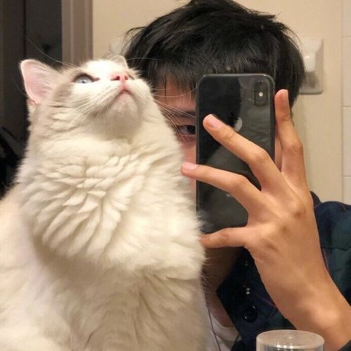谁不想一爱就是三五年