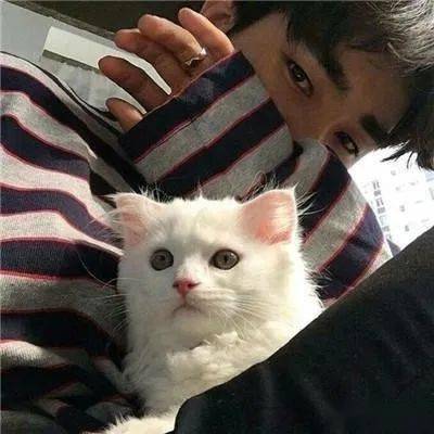 今日节气小寒一大波寒潮来袭,快抱起你的猫暖暖手