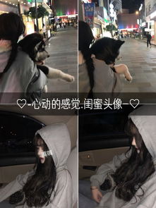 null的主页快手直播