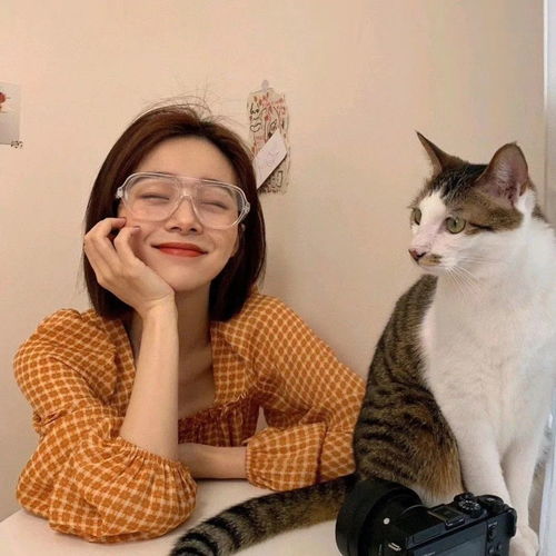ins女生头像高级抱猫