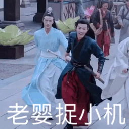 苑琼丹