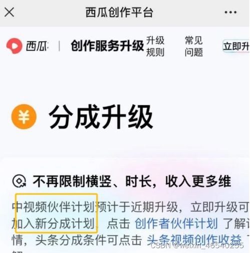 抖音头像怎么变成透明视频
