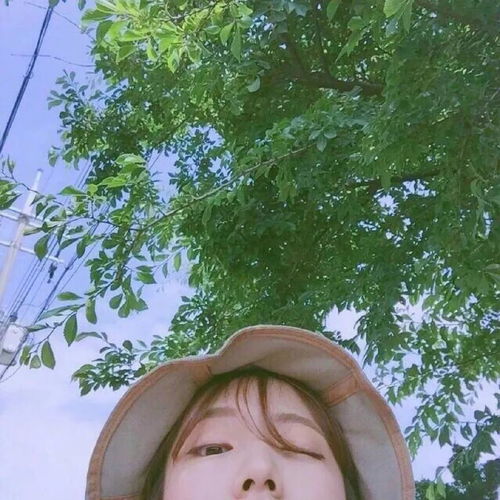 头像想走的人留不住,装睡的人永远叫不醒