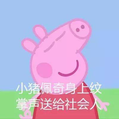 小猪佩奇番外丨2038年,小猪佩奇的精致猪猪日常图鉴
