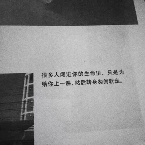 文案背景丨故事的结尾心上人都是远方人