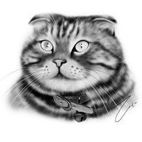 适合快手的素描头像微信头像图片大全
