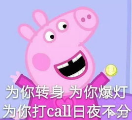 社会我董姐霸气不分红立马收到深交所关注函独家解密不分红的三大原因